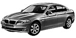 BMW F10 P318B Fault Code